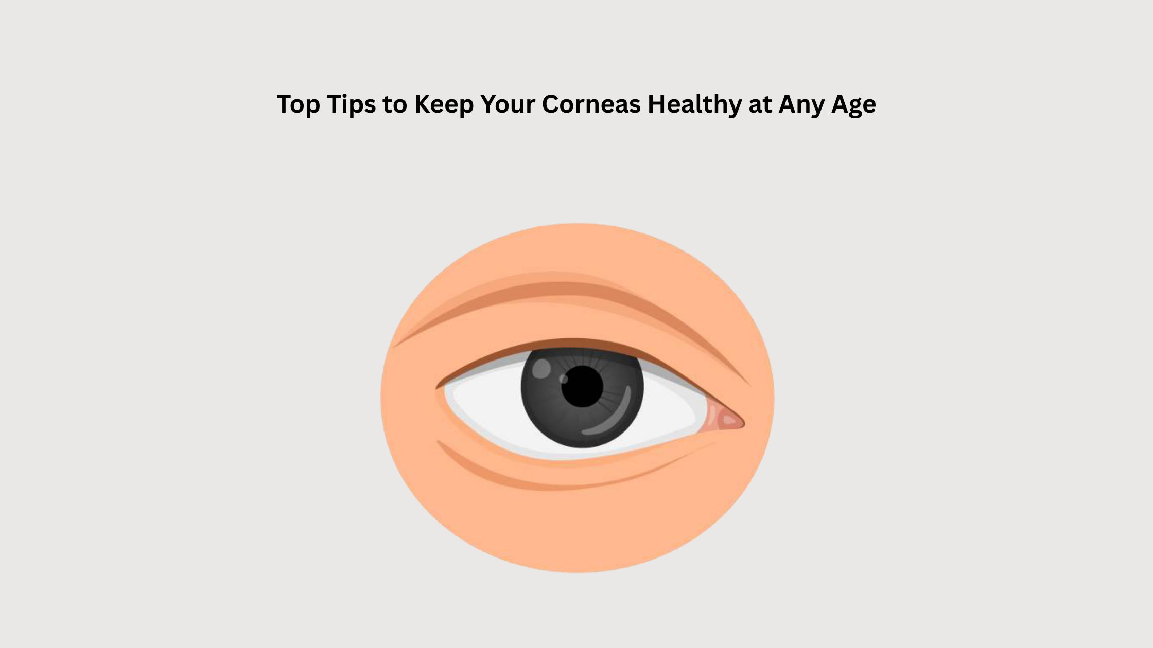 Cornea